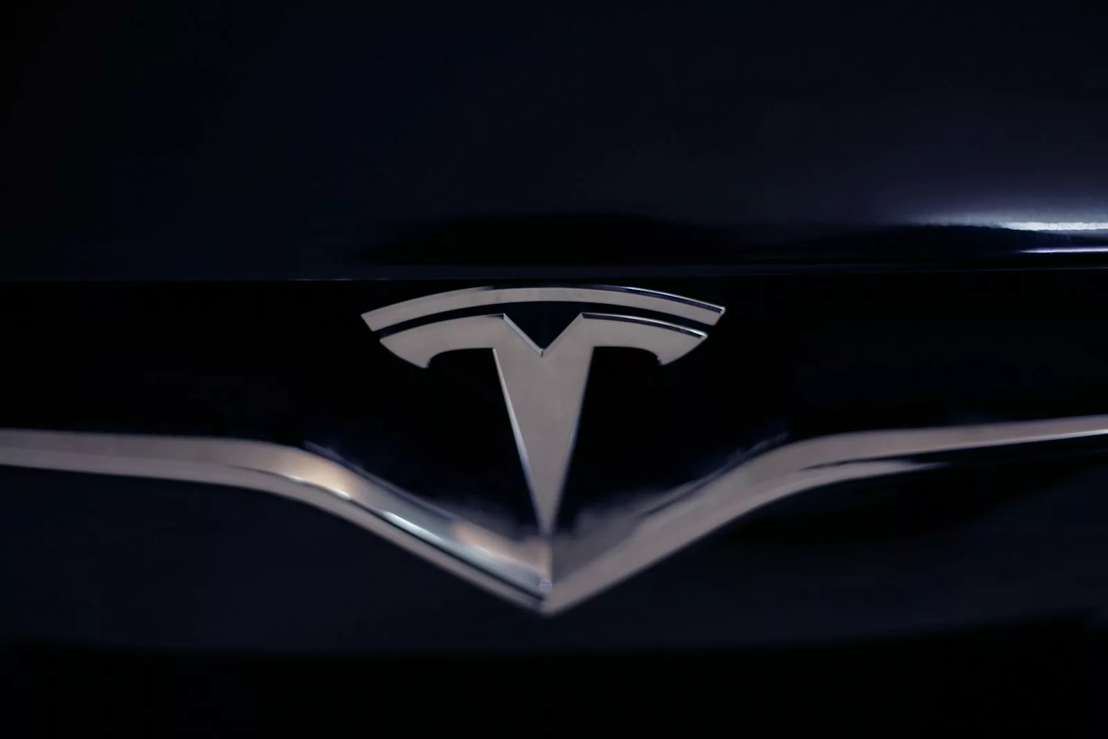 Tesla logo - Ma Borne LR - Argentan