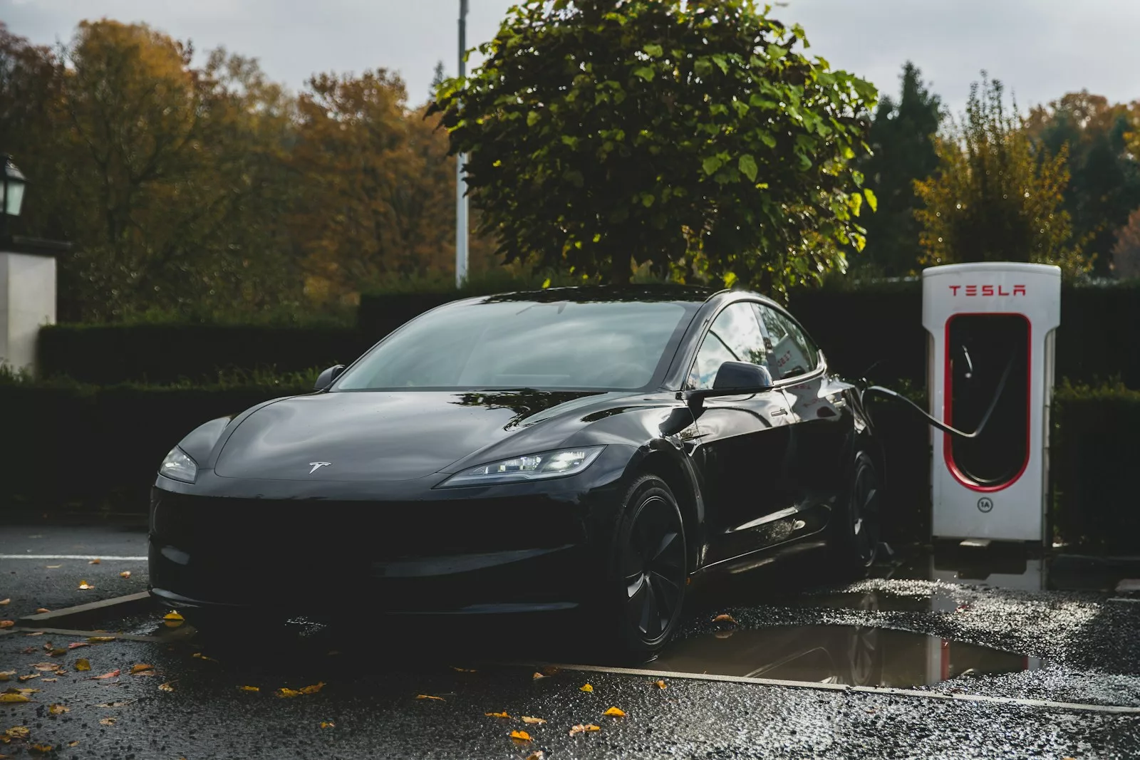 Voiture tesla model - En recharge avec wall - Montargis - Ma Borne LR